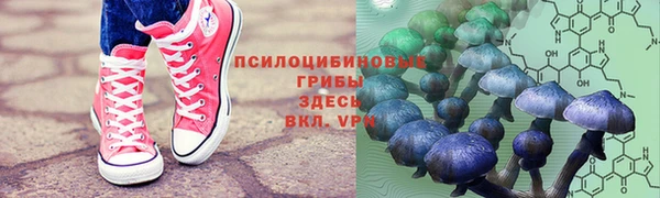 mdpv Горнозаводск