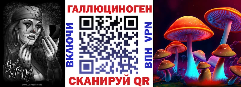 Псилоцибиновые грибы мухоморы  Купить закладки  Циолковский 